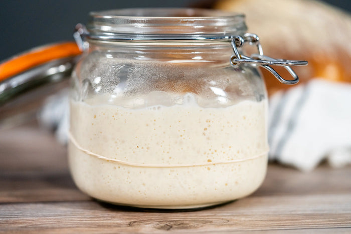 Gluten-Free Sourdough Starter From Scratch